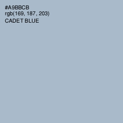 #A9BBCB - Cadet Blue Color Image